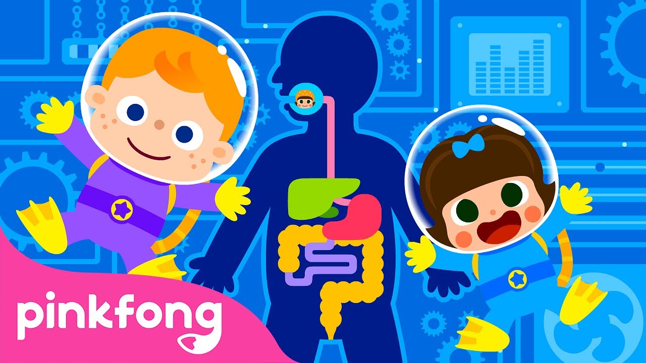 Digest&atilde;o | Can&ccedil;&otilde;es do Corpo Humano | Pinkfong Can&ccedil;&otilde;es para Crian&ccedil;as