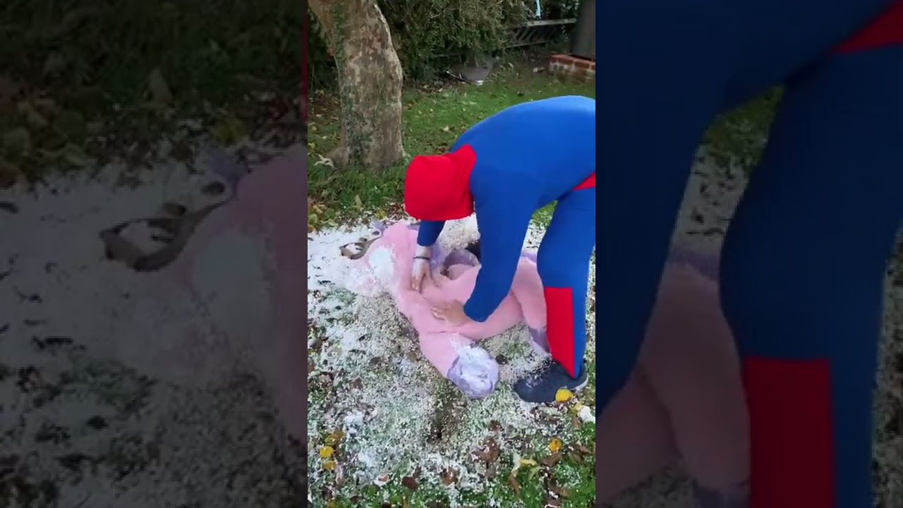 Giant unicorn plushy destruction #toys #destruction #giant #cuddly #funny #funnyvideo