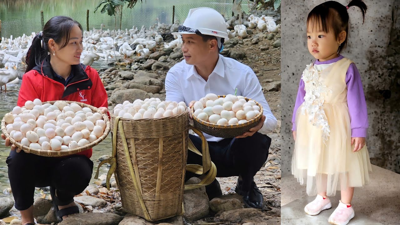 First Day Without Her Husband's Lover - Harvest Eggs Together Goes to market sell - Ly Phuc An