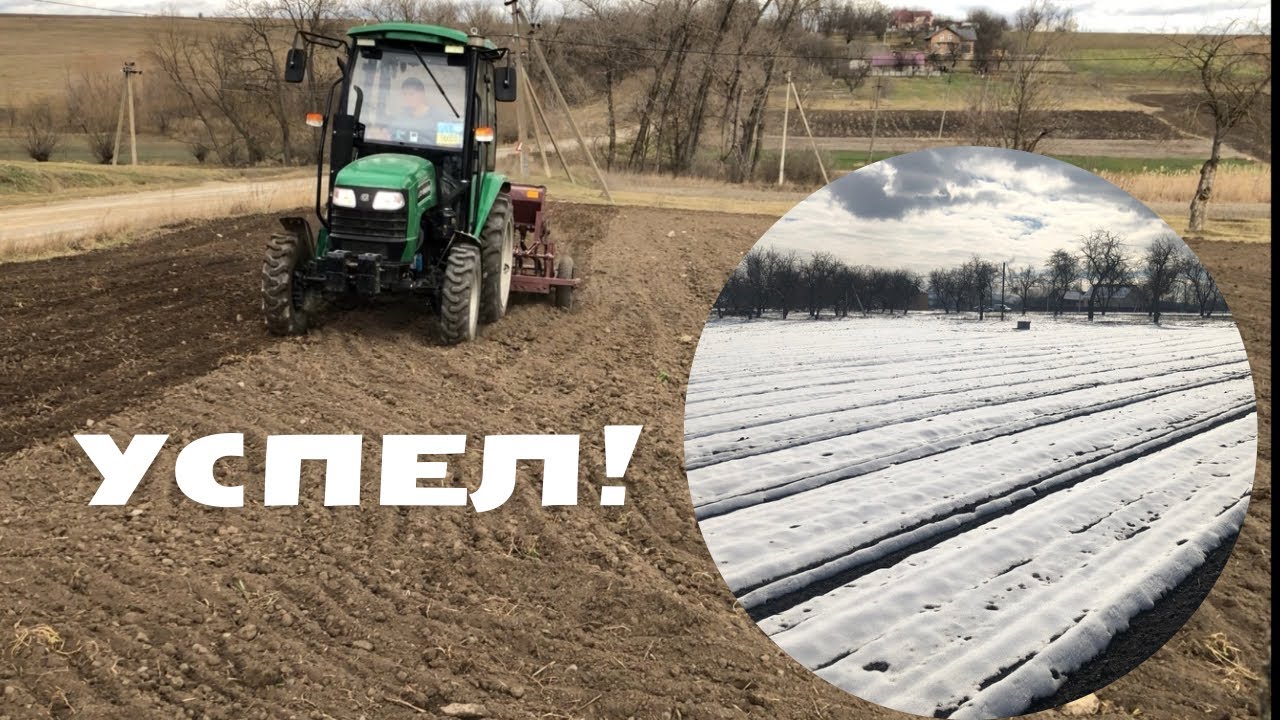 Ярый ячмень. Ранний посев трактором ДТЗ 5404К