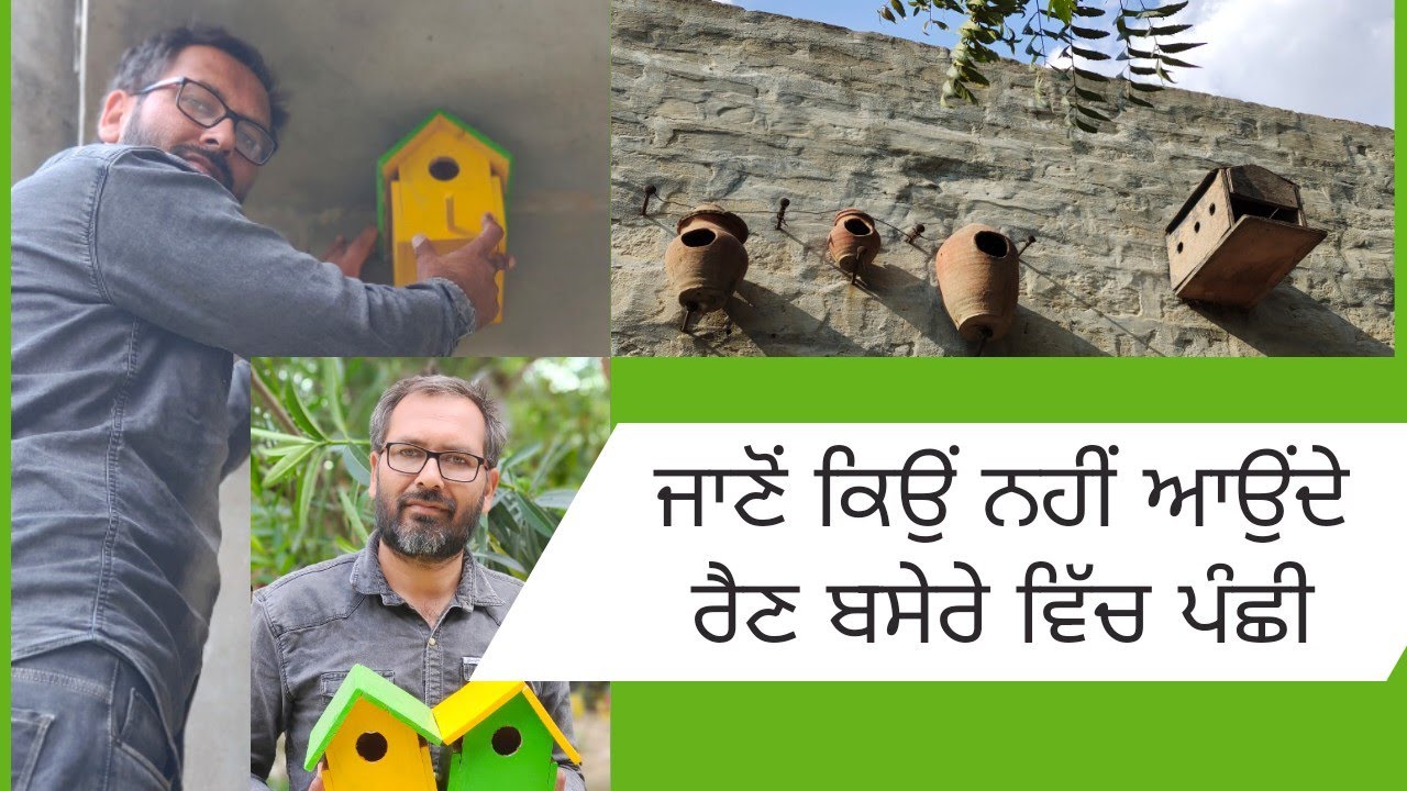 ਪੰਛੀਆਂ ਲਈ ਰੈਣ ਬਸੇਰਾ ਲਗਾਉਣ ਦੇ ਸਹੀ ਤੇ ਗਲਤ ਤਰੀਕੇ ਬਾਰੇ ਜਾਣਕਾਰੀ….