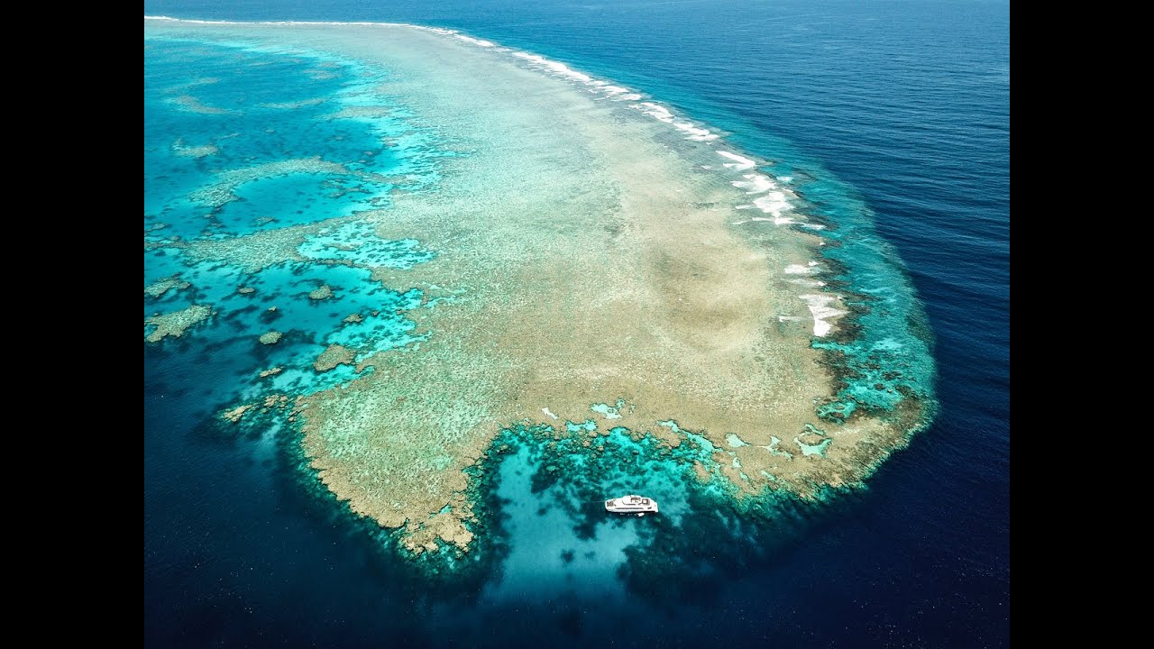 A day in the life of Blue Dive Port Douglas - on the Great Barrier Reef