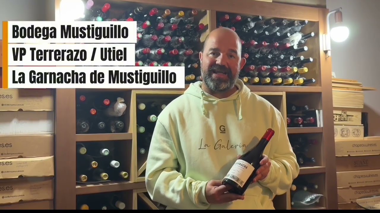 11 Garnachas Españolas por debajo de los 20 euros 