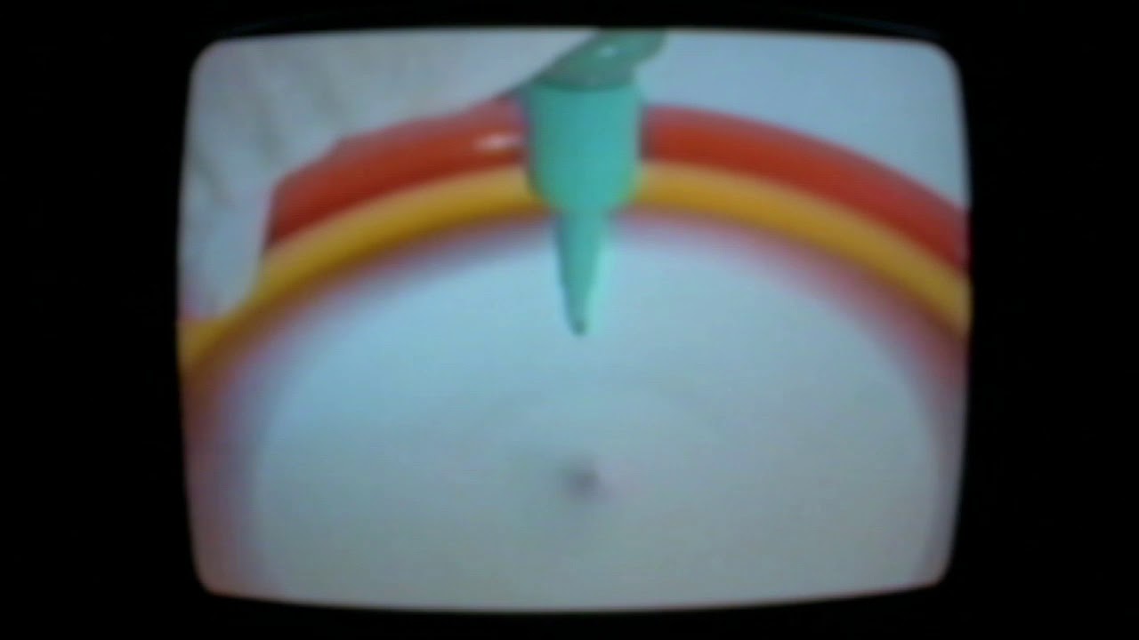 Spinartica