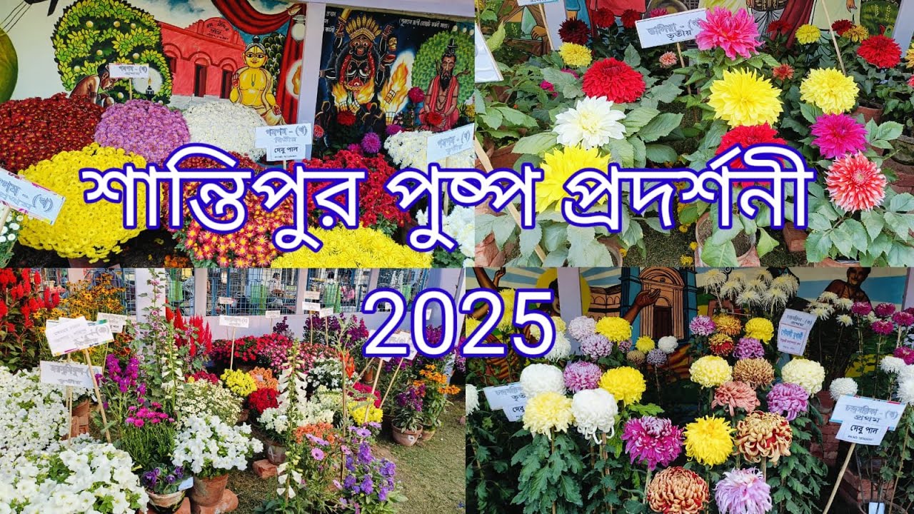শান্তিপুর পুষ্প প্রদর্শনী 2025। এ বছরের অন্যতম আকর্ষণীয় পুষ্প প্রদর্শনী।