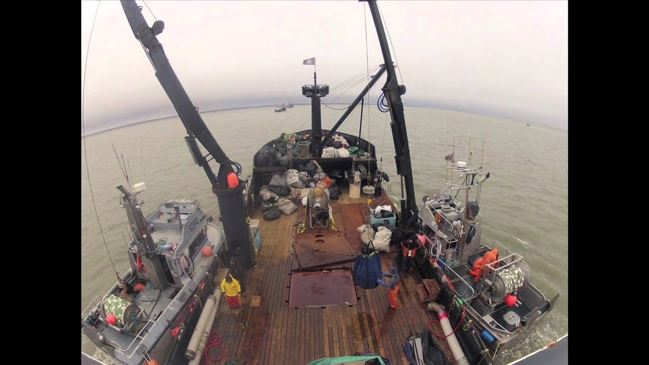 Tendering TimeBandit 2012