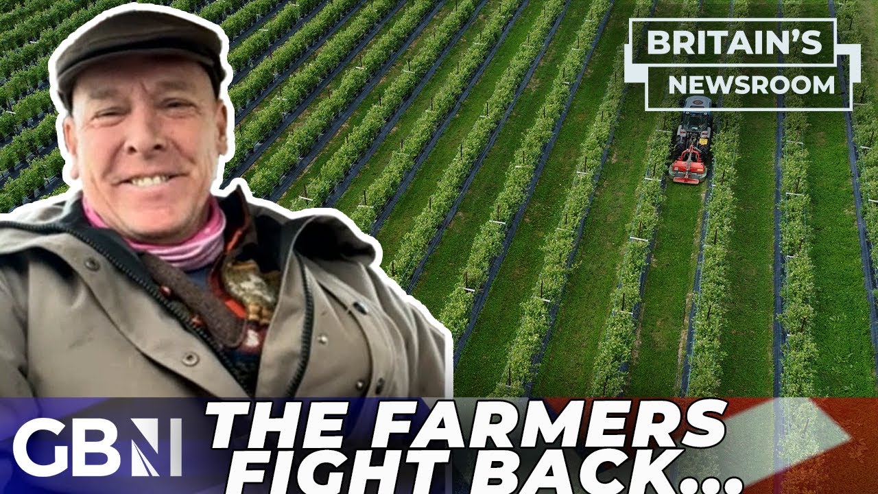 German farmer protest: 'Save the planet by NOT eating meat?! They live in cloud cuckoo land!'