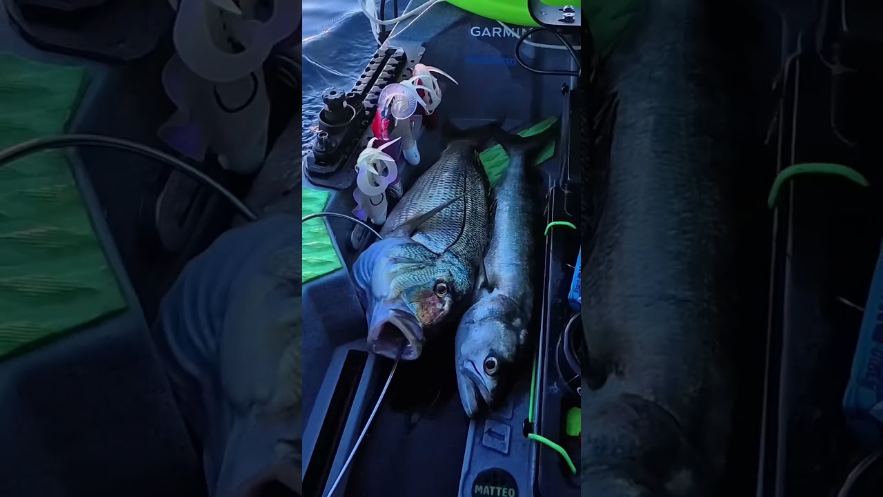 Pesca in kayak. Nostalgia del bel tempo😭