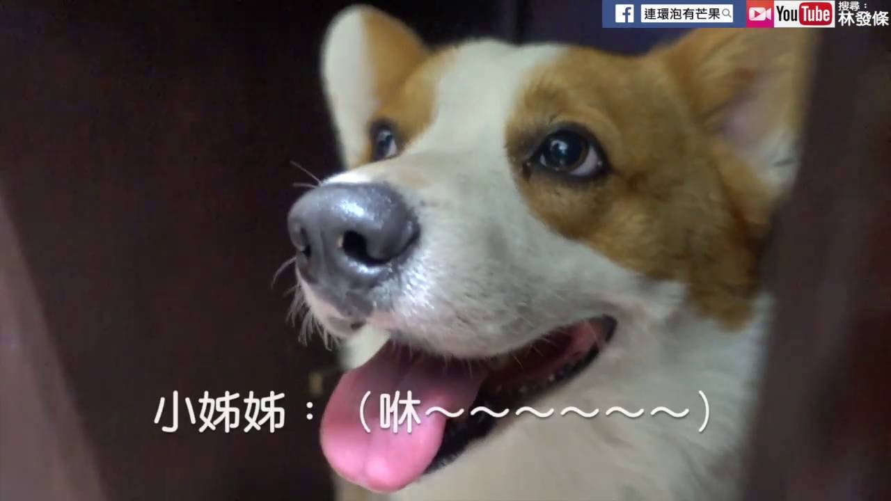 [連環泡]大大休息7＿兄妹合作版