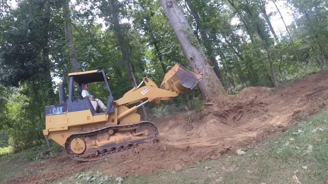 Pushing Trees