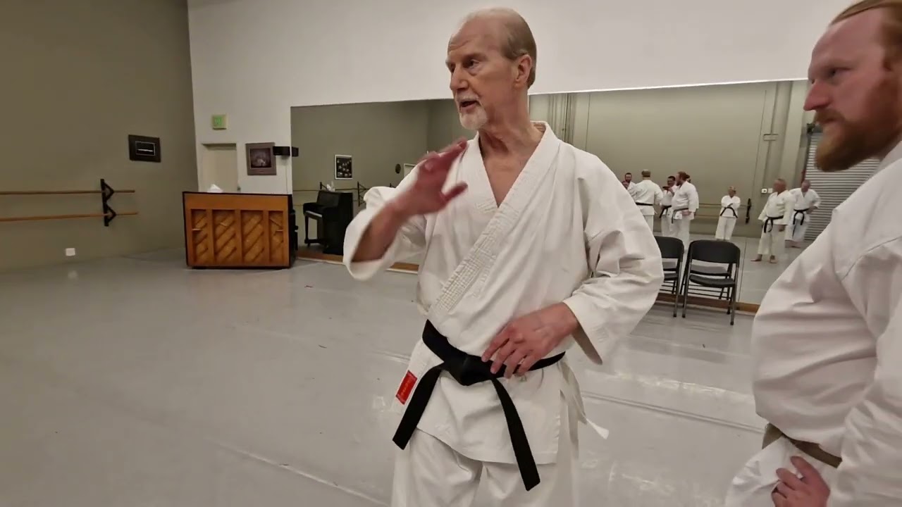 Steve Ubl - Kihon Principles and Drills