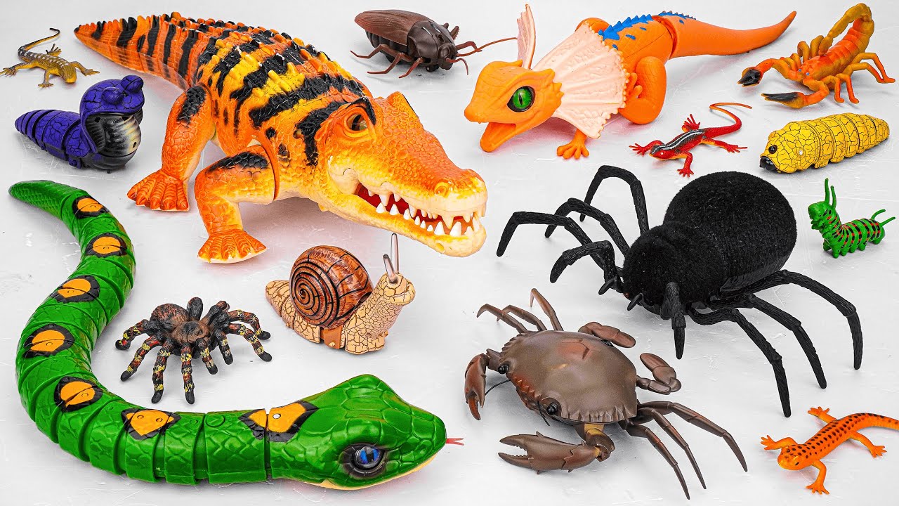 ZURU ROBO ALIVE COLLECTION | UNBOXING Robot Crocodile, New Robo Black Spider, Crab, RC Snake, Lizard
