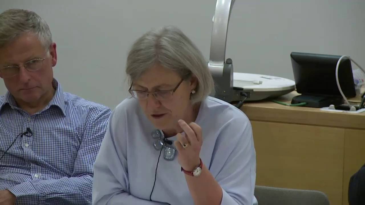 Barbara Ridpath - Truth Telling & Money Panel