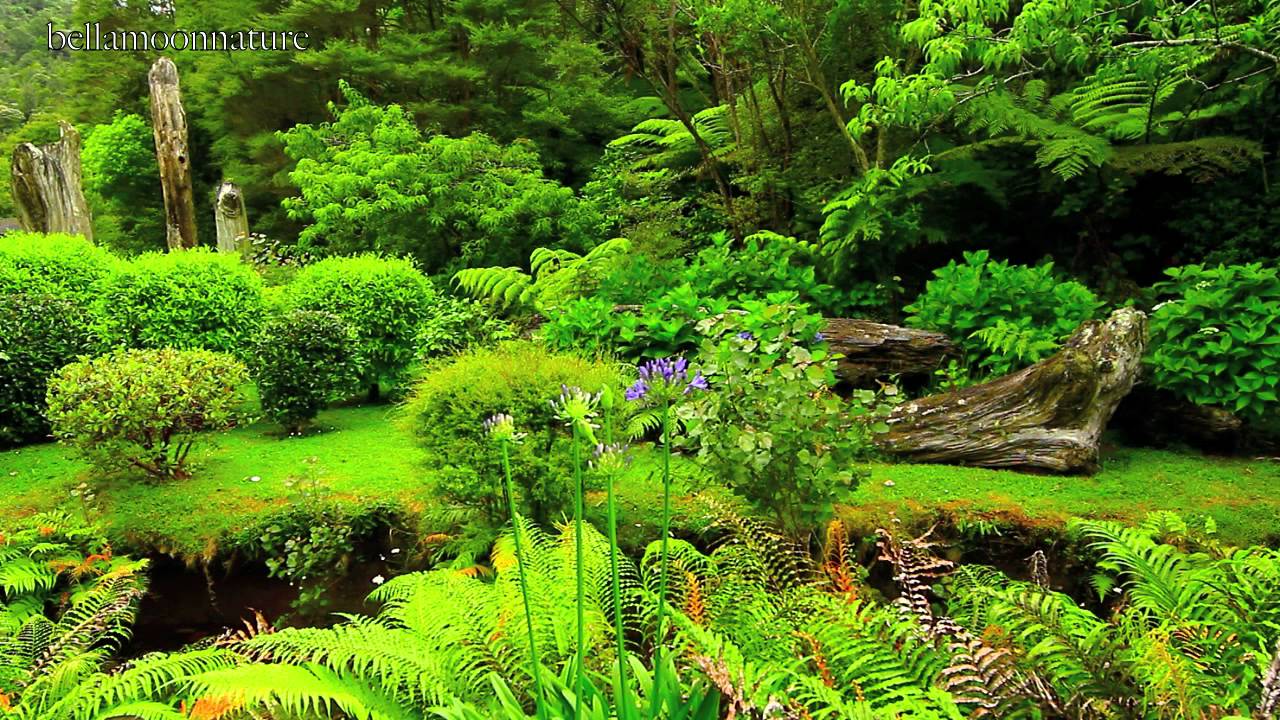BEAUTIFUL GARDENS ☜Ⓞ☞ NEW ZEALAND