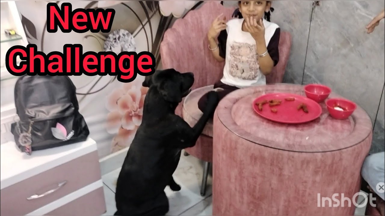 New Challenge 