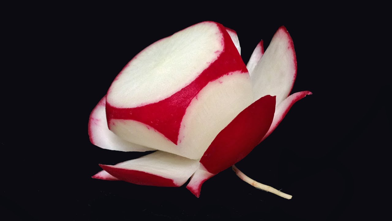 Simple Red Radish Chuanchom Flower - Beginners Lesson 5 By Mutita Art Of Fruit Vegetable Carving