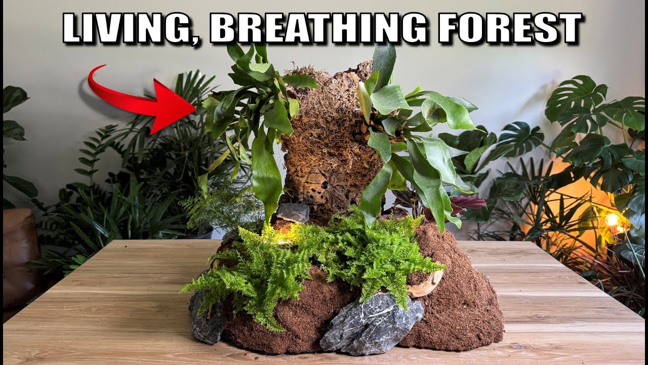 I Transformed My Desk Into a Beautiful Forest Wonderland!