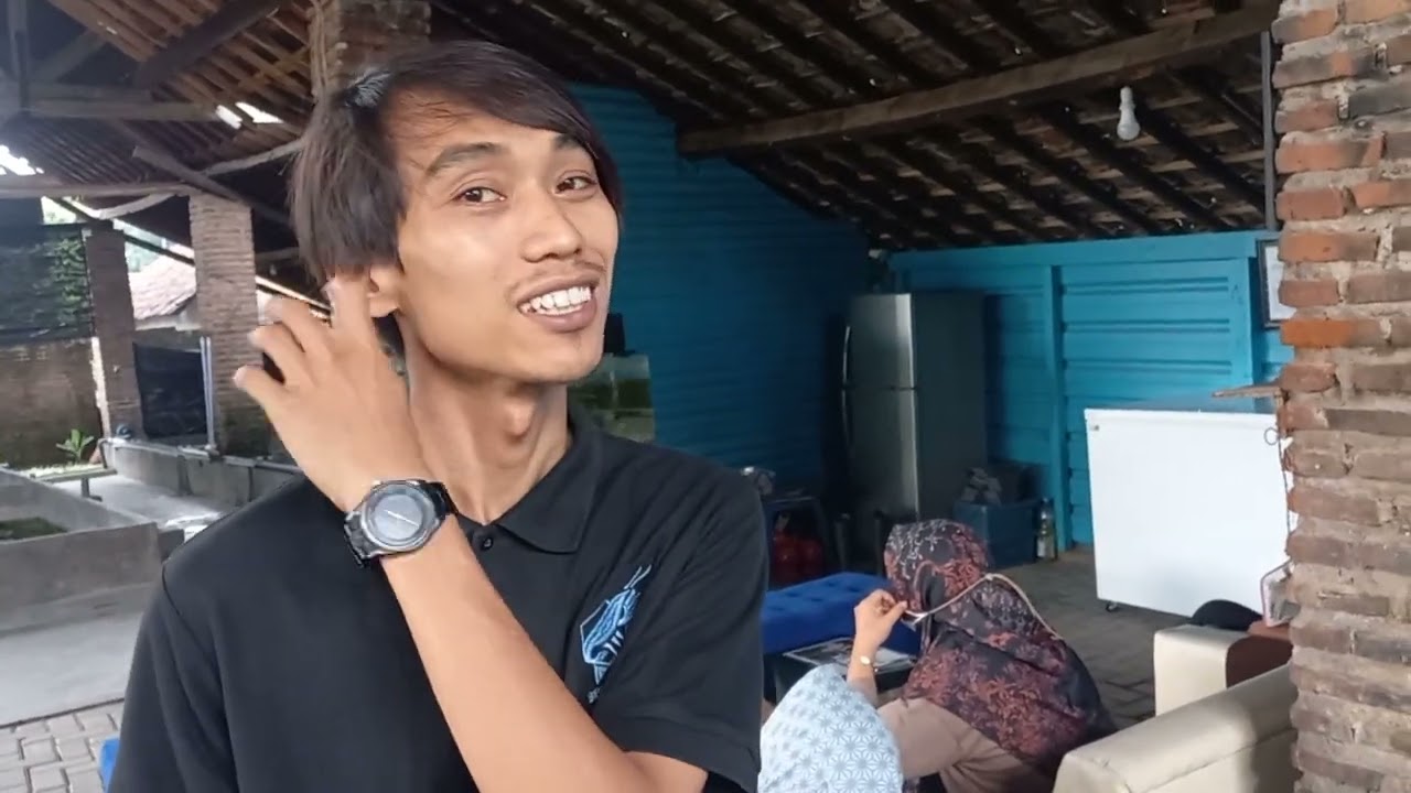 BUDIDAYA LOBSTER - MODAL AWAL 2 JUTA BISA PANEN 2 JUTA PER BULAN