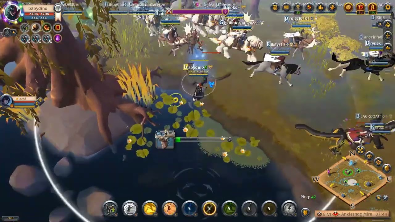 fish