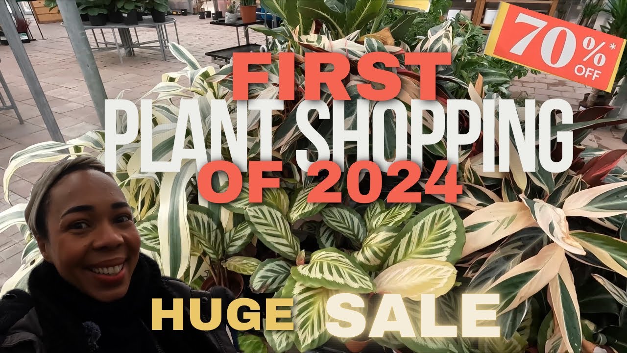 FIRST HOUSEPLANT SHOPPING 2024| SALE PRICES| Rare, Uncommon and Common Plants 10-70% OFF| Heeman’s