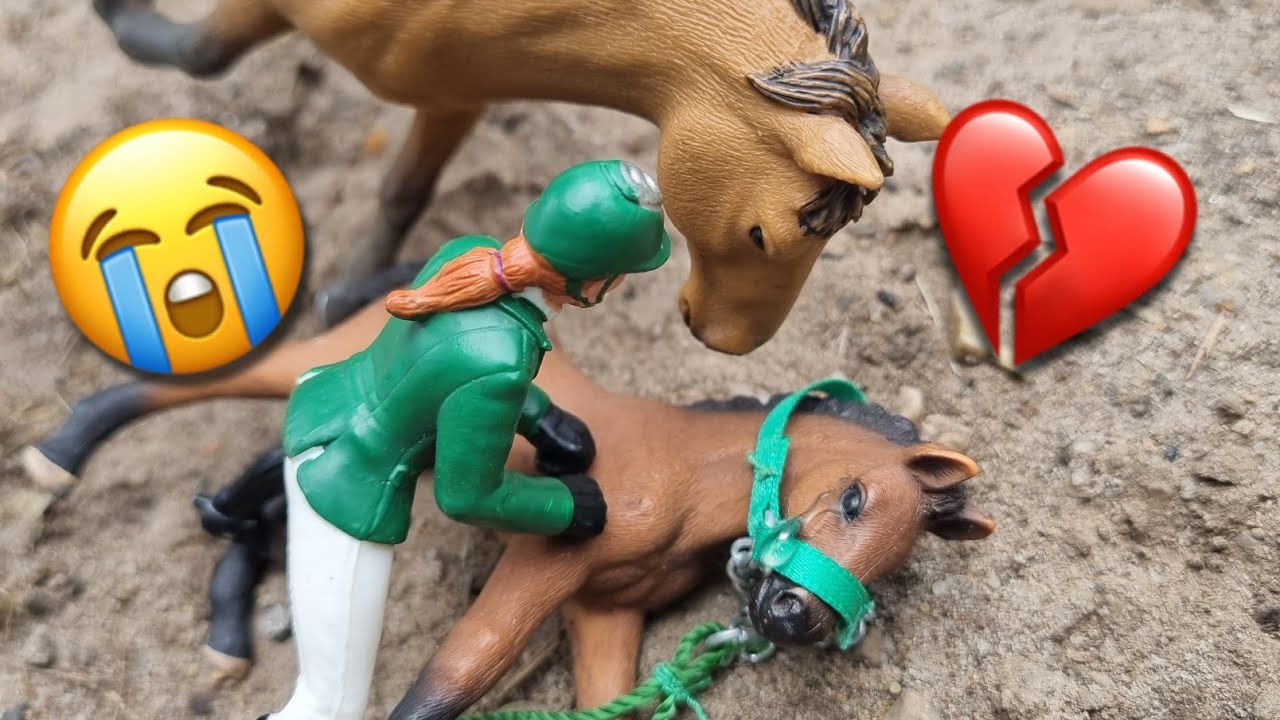 Die traurige Geschichte eines Pferdes namens Star⭐️💔Schleich Pferde Video