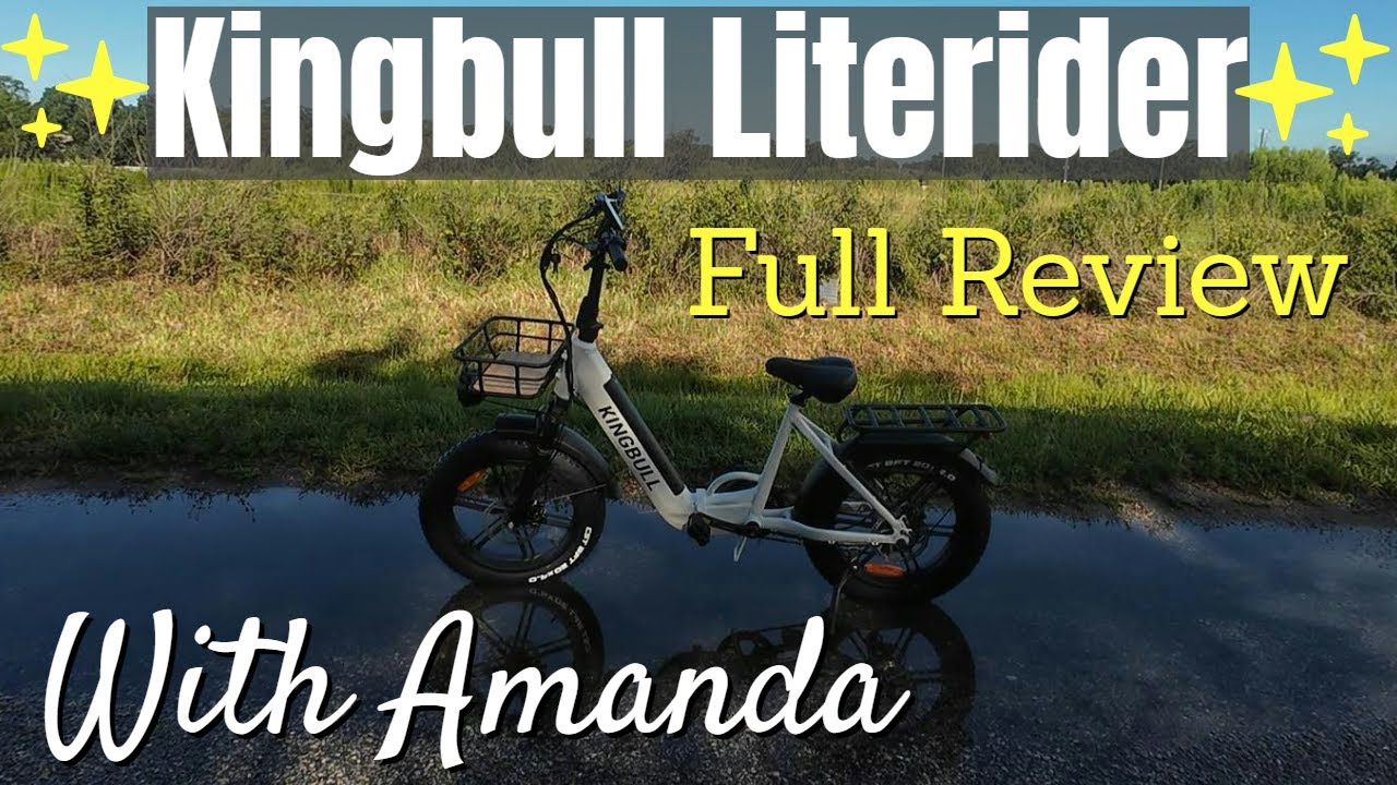 Zippy eBike | Kingbull Literider Review