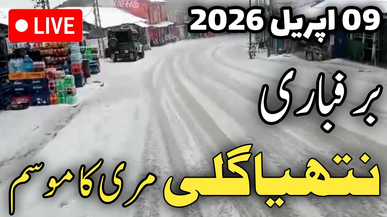 Murree live today 09 April | nathiagali snowfall | murree ka mousam | مری نتھیا گلی لائیو برفباری