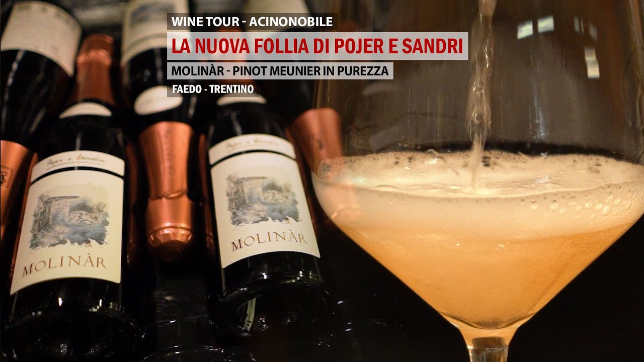 Molinàr | Spumante Metodo Classico | Pojer e Sandri | Pinot Meunier | Extra Brut | Non dosato/Padosè