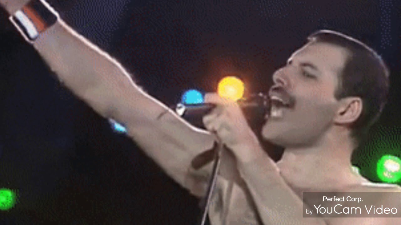 Freddie Mercury loved his fans!❤🤴❤