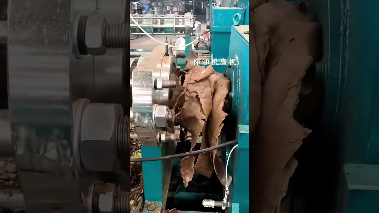 600 type oil press #Oilmilloilpress #Oilpress #Cornoilpress #Spiraloilpress