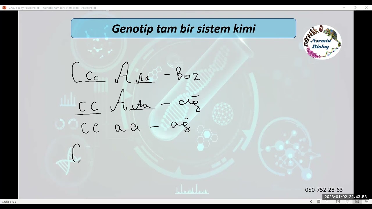 Genotip tam bir sistem kimi