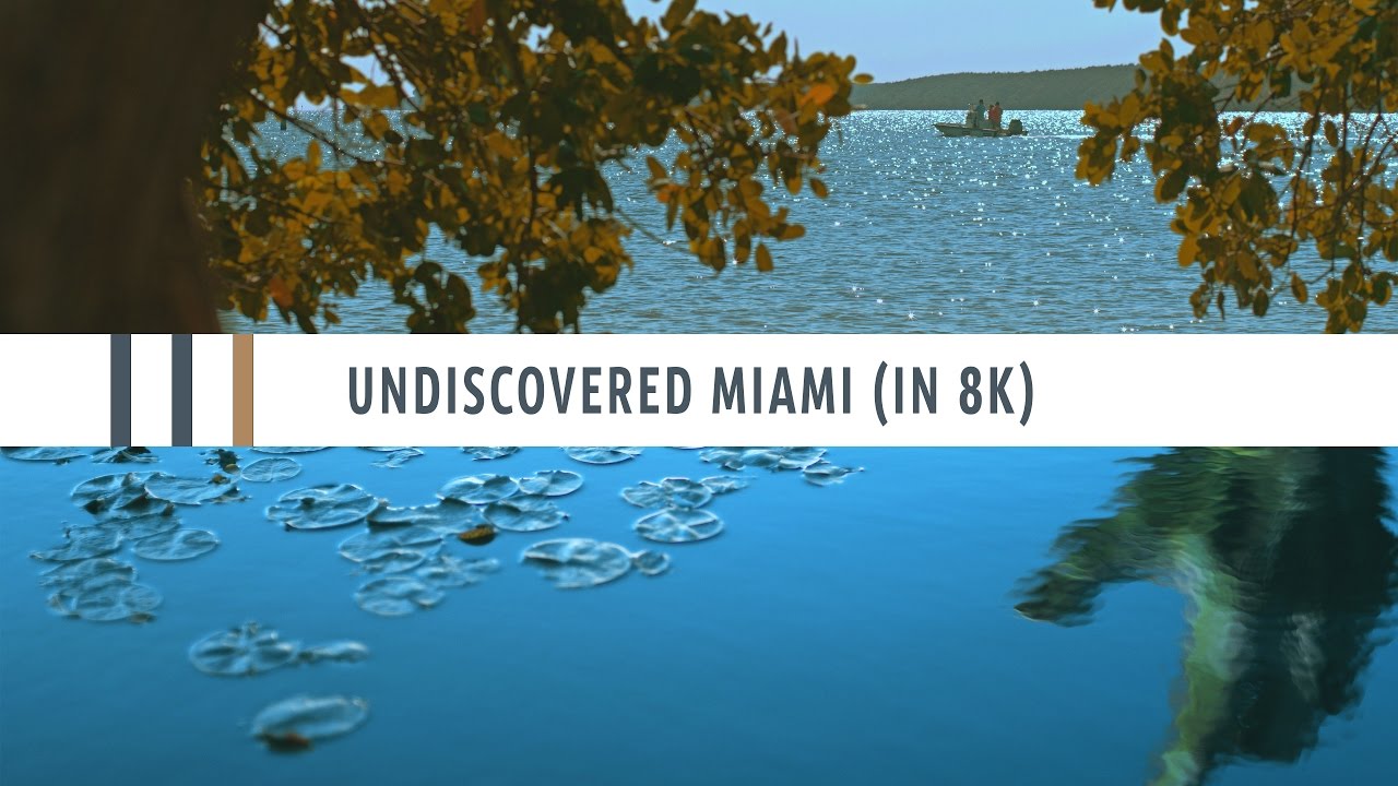 Undiscovered Miami: A RED Epic-W Helium 8K Test