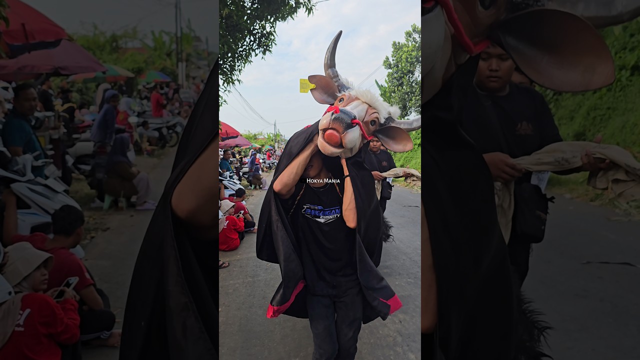 Karnaval Banteng Lembu Suro #karnaval #bantengan #17agustus