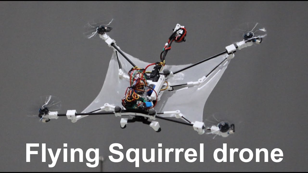 [RA-L25] A Highly Maneuverable Flying Squirrel Drone with Agility-Improving Foldable Wings