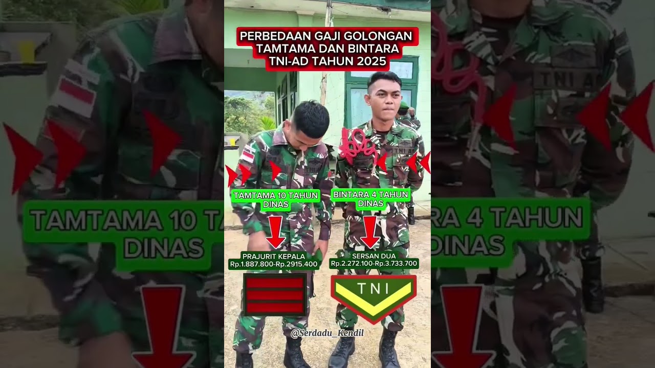 Perbedaan gaji Golongan Bintara dan Tamtama🇮🇩🙏 #tni #tnidihatirakyat #tniad #army
