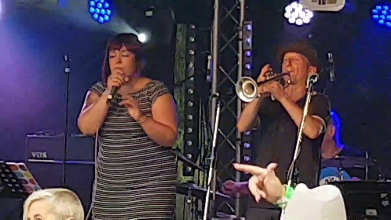 THE DECATONICS WIMBORNE FOLK FESTIVAL 2017