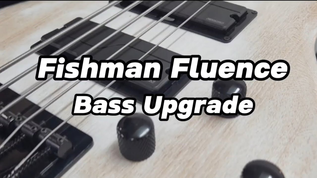 Fishman Fluence Installation