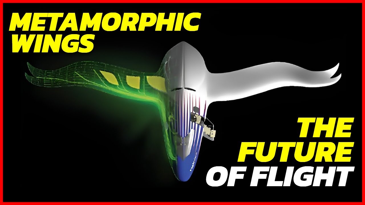 Metamorphic Wings Unleashed: The Future of Flight is Finally Here
