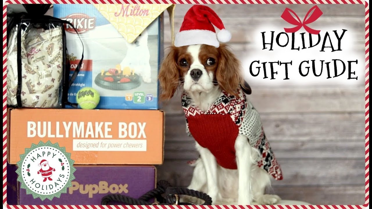12 GIFT IDEAS FOR DOGS | HOLIDAY GIFT GUIDE 2017 | Dog toys, dog treats, dog accessories!