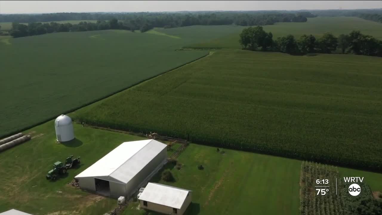 Above-Average Rainfall and the Impact on Farmers