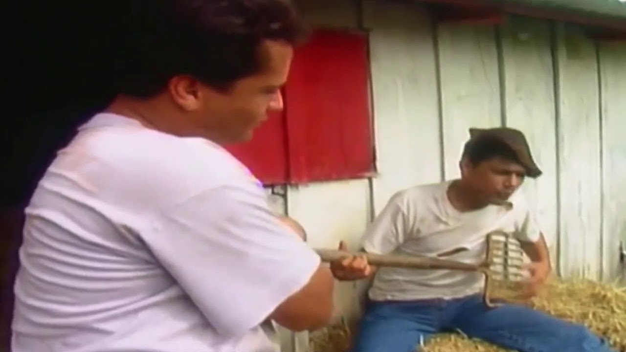 Leandro & Leonardo - Amores São Coisas Da Vida