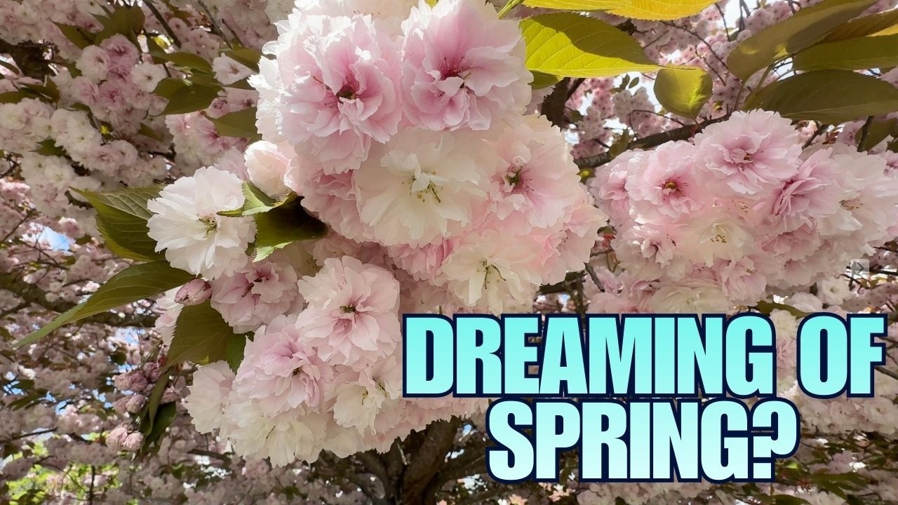 Washington Garden Walk ASMR