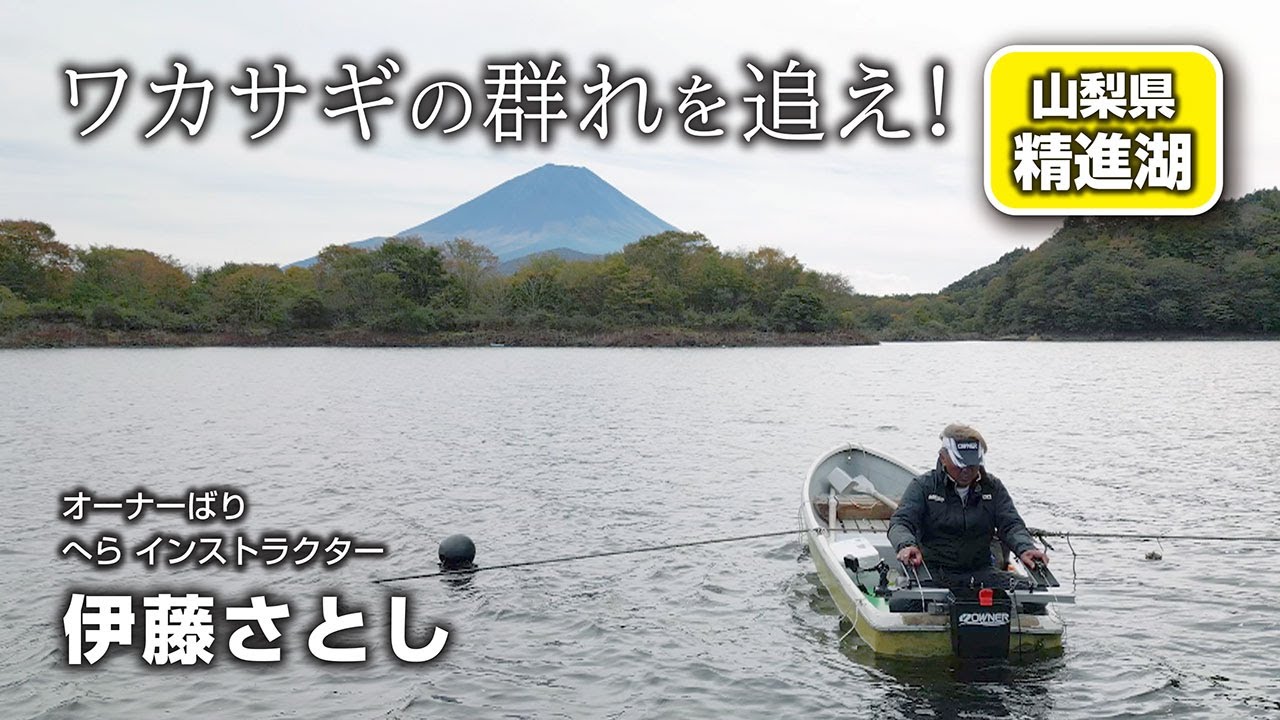 ワカサギの群れを追え！山梨県精進湖