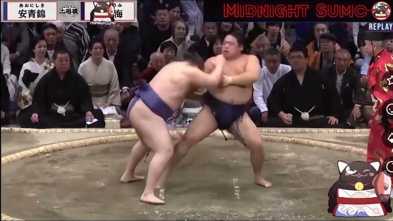 Aonishiki wins: New winner in Grand Sumo Japan
