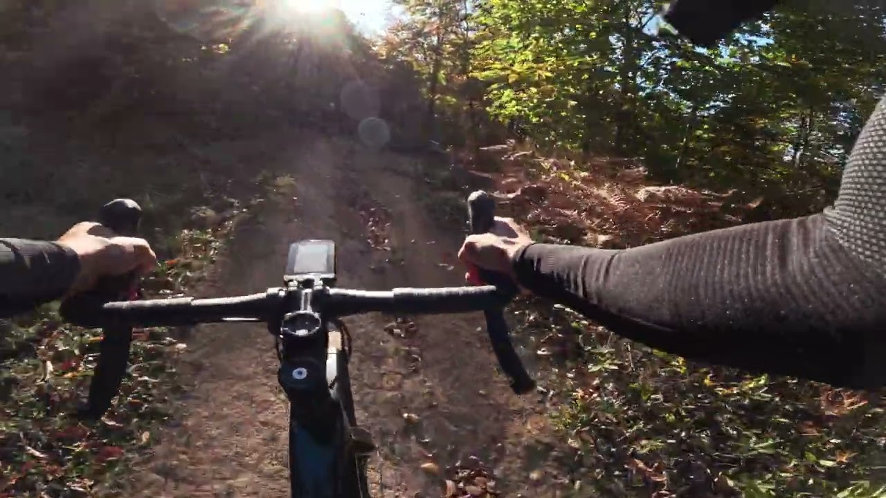 Giant Revolt Advanced 2 - Rocky, Gravel, Tarmac!