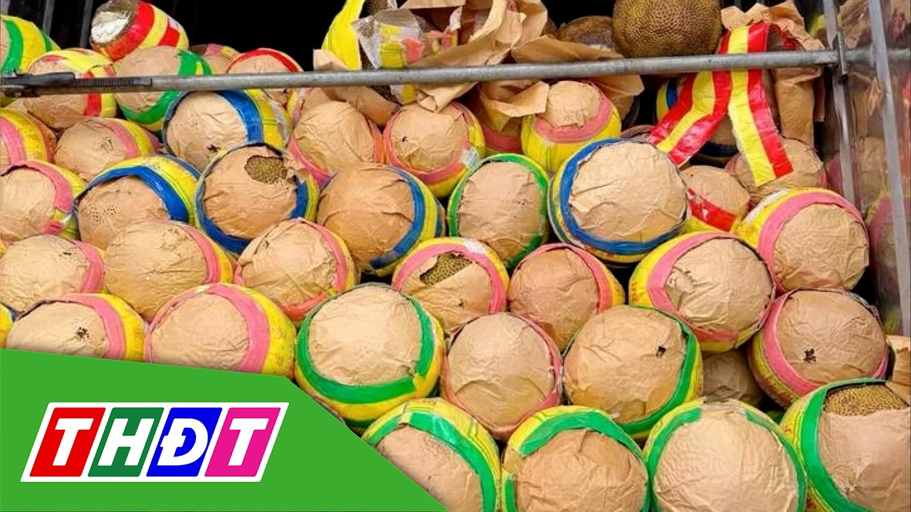 Xuất khẩu &ugrave;n ứ, gi&aacute; m&iacute;t rẻ chưa từng c&oacute; | THDT