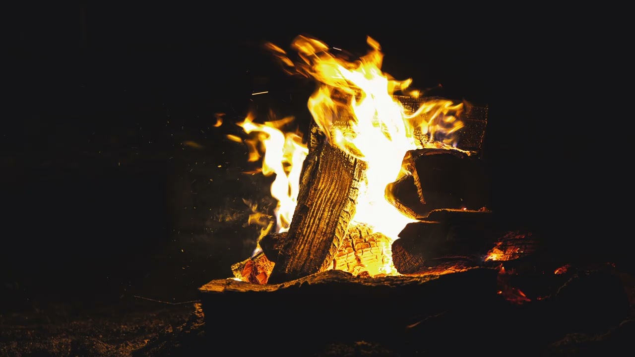 Dźwięk ogniska 🔥❄️| Trening dźwiękowy dla psów wrażliwych