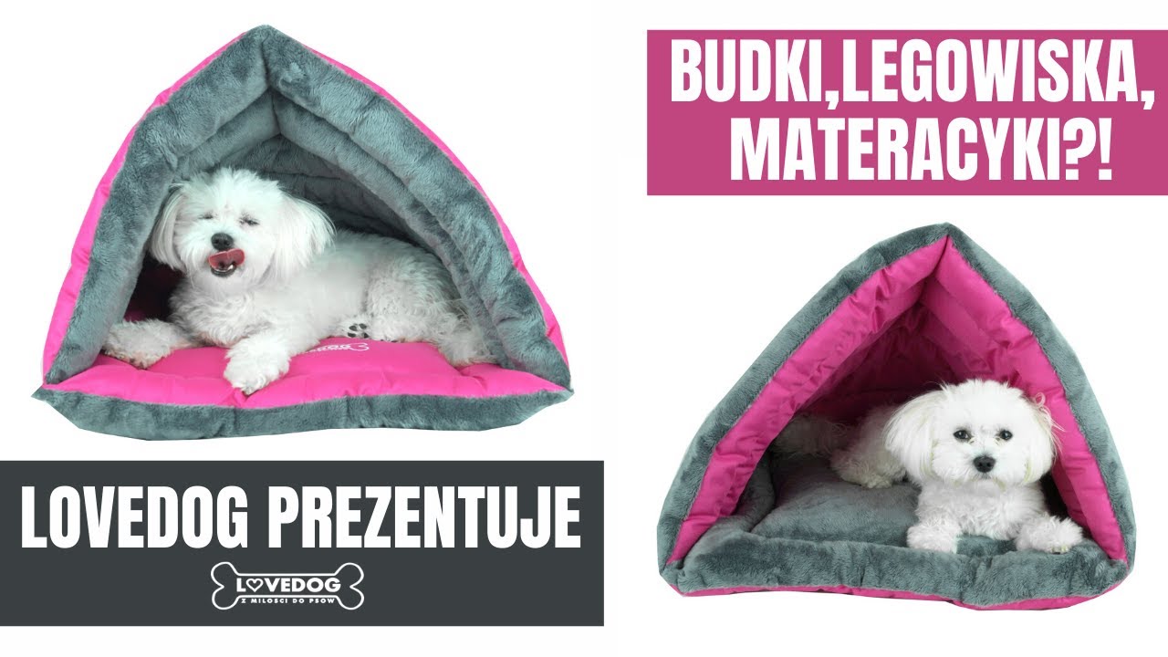 POLSKIE ARTYKUŁY DLA PS&Oacute;W? LEGOWISKA, BUDKI, MATERACYKI?  | LOVEDOG