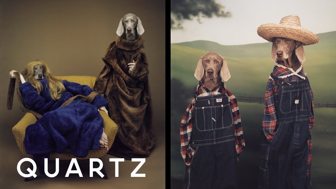 How to make your dogs look human