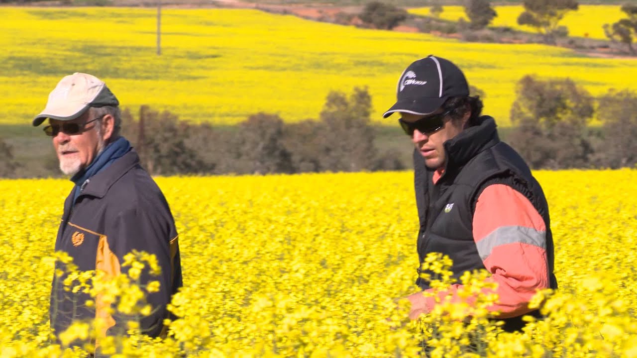 CBH Supply Chain - Growing Grain